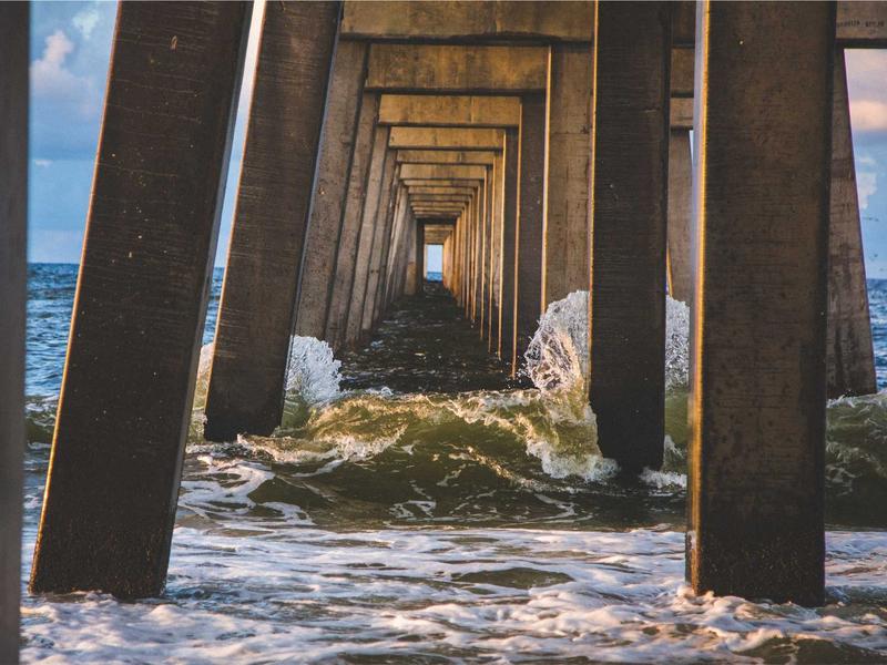 The Future of Biofuels