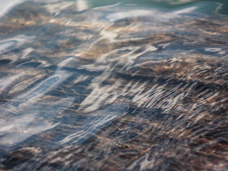 Biotechnology and Food Security