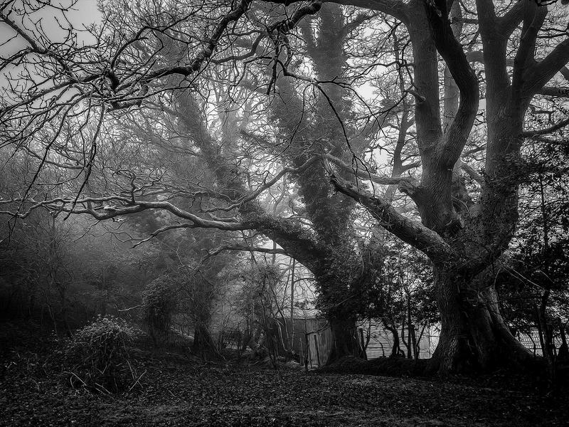 Microbial Fermentation Processes