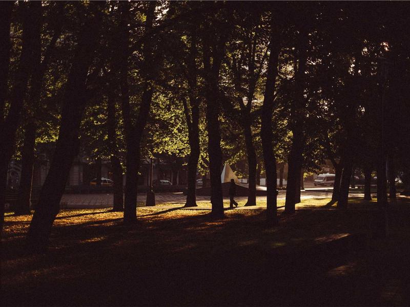 Sustainable Energy through Biotech