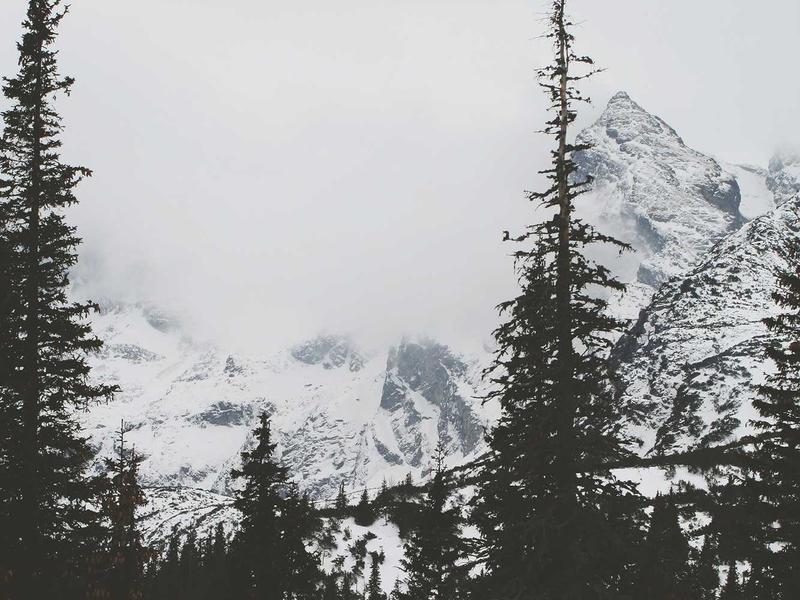 Bioremediation: Cleaning Nature with Nature