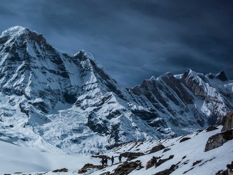 The Role of GMOs in Fighting Hunger