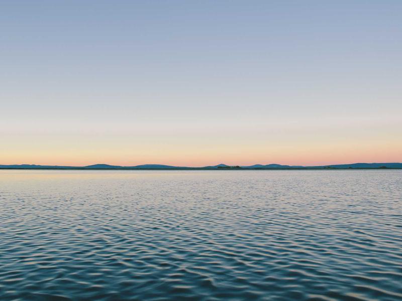 Synthetic Biology: Designing Life