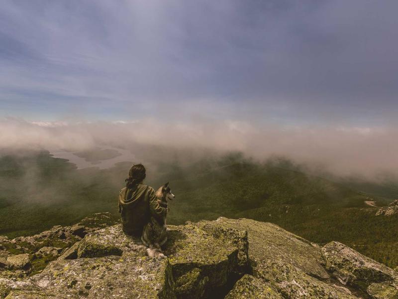 Smart Farming with Biotech Solutions